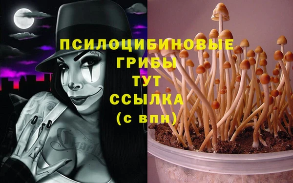 круглые Алексин